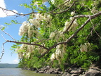 IMG 4772